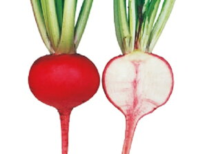 ^g1(gJu) 2dl  Ju  zyc   ^l zyʏ5{ 5̂̓|Cg10{z