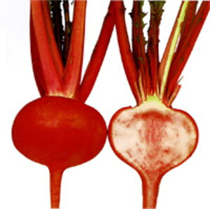 ^g3(gJu) 2dl  Ju  zyc   ^l zyʏ5{ 5̂̓|Cg10{z