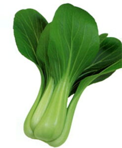 ďܖ R[gqL(5000) [ `Q `QTC 񂰂񂳂 zyc   ^l zyʏ5{ 5̂̓|Cg10{z