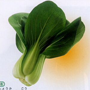 ďܖ2 2dl [ `Q `QTC 񂰂񂳂 zyc   ^l zyʏ5{ 5̂̓|Cg10{z