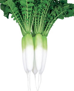  2dl 卪 _CR  zyc   ^l zyʏ5{ 5̂̓|Cg10{z