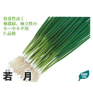 ጎ 2dl K lM ˂ zyc   ^l zyʏ5{ 5̂̓|Cg10{z