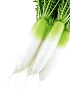 H̕ 2dl 卪 _CR  zyc   ^l zyʏ5{ 5̂̓|Cg10{z