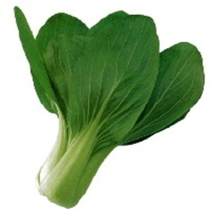 햡 20ml [ `Q `QTC 񂰂񂳂 zyc   ^l zyʏ5{ 5̂̓|Cg10{z