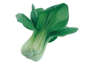 ~ 20ml [ `Q `QTC 񂰂񂳂 zyc   ^l zyʏ5{ 5̂̓|Cg10{z