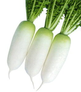 q(~j卪) 1dl 卪 _CR  zyc   ^l zyʏ5{ 5̂̓|Cg10{z