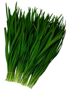 O[xg 2dl B j ɂyc   ^l zyʏ5{ 5̂̓|Cg10{z