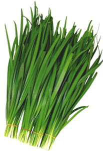 X[p[O[xg 2dl B j ɂyc   ^l zyʏ5{ 5̂̓|Cg10{z