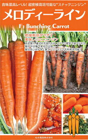 メロディーライン　生種25000粒 ニンジン にんじん 人参 一代交配　【松永種苗 種 たね タネ】【通常5倍 5のつく日はポイント10倍】