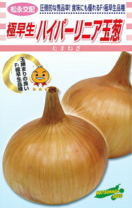 ɑ nCp[jA 2dll ʂ˂ ܂˂ ʔK ^}lM iz yic   ^lzyʏ5{ 5̂̓|Cg10{z