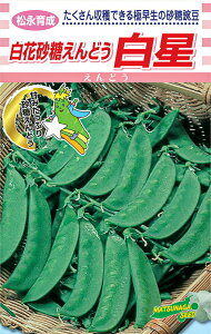 i琬@@ԍ@1Ll ₦ǂ TGhE 氓yic   ^lzyʏ5{ 5̂̓|Cg10{z