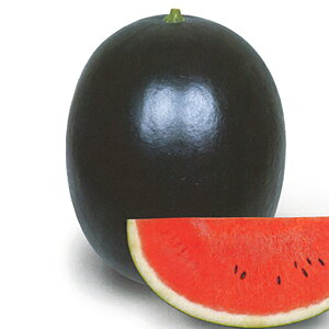 Ă܂ubN 200l XCJ  Z Fz yێ   ^lzyʏ5{ 5̂̓|Cg10{ΏۊOi|Cg3{Œ菤iz