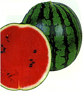 ×N(䂤) 200l XCJ  Z Fz yێ   ^lzyʏ5{ 5̂̓|Cg10{ΏۊOi|Cg3{Œ菤iz