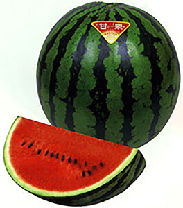 Ð(񂹂) 200l XCJ  Z Fz yێ   ^lzyʏ5{ 5̂̓|Cg10{ΏۊOi|Cg3{Œ菤iz