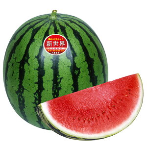 VE 100l XCJ  Z Fz yێ   ^lzyʏ5{ 5̂̓|Cg10{ΏۊOi|Cg3{Œ菤iz