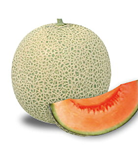 BIbh(V) 100l ߂  rZ Fz yێ   ^lzyʏ5{ 5̂̓|Cg10{ΏۊOi|Cg3{Œ菤iz