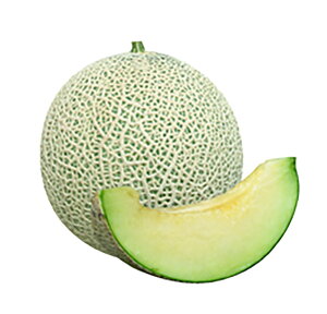 JX^lbg 100l ߂  rZ Fz yێ   ^lzyʏ5{ 5̂̓|Cg10{ΏۊOi|Cg3{Œ菤iz