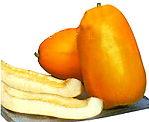 [Z 10mll ߂  rZ Fz yێ   ^lzyʏ5{ 5̂̓|Cg10{ΏۊOi|Cg3{Œ菤iz