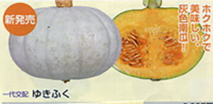 䂫ӂ 100l Z J{` ڂ z@yێ   ^lzyʏ5{ 5̂̓|Cg10{ΏۊOi|Cg3{Œ菤iz