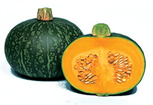 ӂ 1dll Z J{` ڂ Fz yێ   ^lzyʏ5{ 5̂̓|Cg10{ΏۊOi|Cg3{Œ菤iz