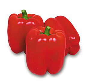 pvbh 100l s[} ҁ[܂ z@yێ   ^lzyʏ5{ 5̂̓|Cg10{ΏۊOi|Cg3{Œ菤iz