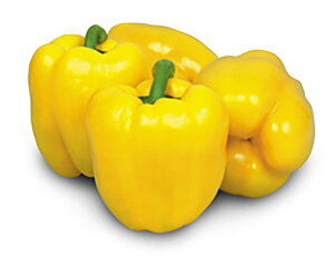 pvS[h 100l s[} ҁ[܂ z@yێ   ^lzyʏ5{ 5̂̓|Cg10{ΏۊOi|Cg3{Œ菤iz