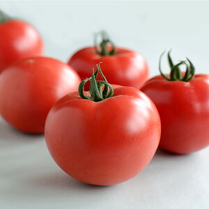 TYAo 100l g}g Ƃ܂ ׉ Fz yێ   ^lzyʏ5{ 5̂̓|Cg10{ΏۊOi|Cg3{Œ菤iz