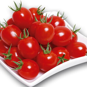 Â 1000l g}g Ƃ܂ ׉ Fz yێ   ^lzyʏ5{ 5̂̓|Cg10{ΏۊOi|Cg3{Œ菤iz