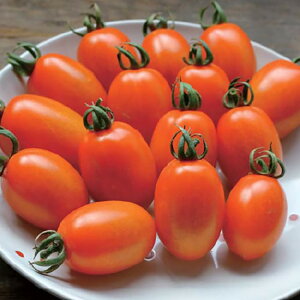 IWȂ߂ 100l g}g Ƃ܂ ׉ Fz yێ   ^lzyʏ5{ 5̂̓|Cg10{ΏۊOi|Cg3{Œ菤iz