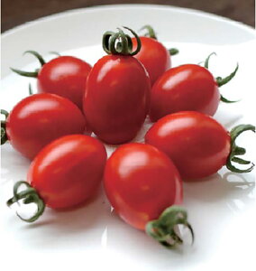 X[p[Ȃ߂ 100l g}g Ƃ܂ ׉ Fz yێ   ^lzyʏ5{ 5̂̓|Cg10{ΏۊOi|Cg3{Œ菤iz