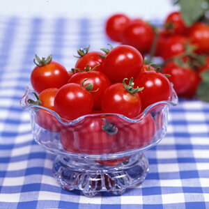 тg}g 10mll g}g Ƃ܂ ׉ցyێ   ^lzyʏ5{ 5̂̓|Cg10{ΏۊOi|Cg3{Œ菤iz