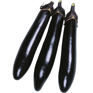 (낽) 2000l iX Ȃ ֎q Fz yێ   ^lzyʏ5{ 5̂̓|Cg10{ΏۊOi|Cg3{Œ菤iz