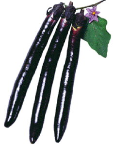  2000l iX Ȃ ֎q Fz yێ   ^lzyʏ5{ 5̂̓|Cg10{ΏۊOi|Cg3{Œ菤iz