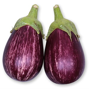 Ȃނ炳 100l iX Ȃ ֎q z@yێ   ^lzyʏ5{ 5̂̓|Cg10{ΏۊOi|Cg3{Œ菤iz