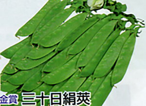  O\ 1Ll ₦ǂ TGhE 氓yێ   ^lzyʏ5{ 5̂̓|Cg10{ΏۊOi|Cg3{Œ菤iz