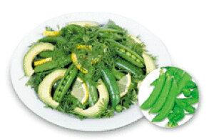 wV[Xibv(邠) 1Ll ₦ǂ TGhE 氓yێ   ^lzyʏ5{ 5̂̓|Cg10{ΏۊOi|Cg3{Œ菤iz