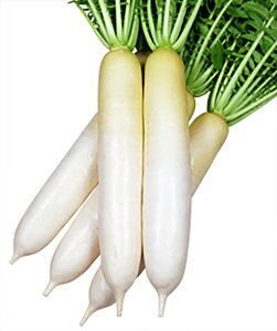 ~̋ɂ 1000l 卪 _CR  Fz yێ   ^lzyʏ5{ 5̂̓|Cg10{ΏۊOi|Cg3{Œ菤iz