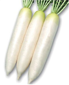 �t�Ђт� �R�[�g5000�� �卪 �_�C�R�� �������� �F����z �y�ێ� �� ���� �^�l�z�y�ʏ�5�{ 5�̂����̓|�C���g10�{�ΏۊO���i�|�C���g3�{�Œ菤�i�z