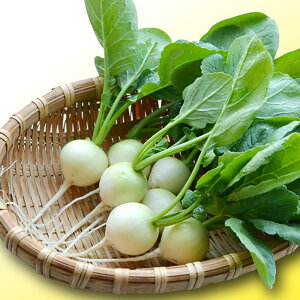 �����_�z���C�g 10000���l �卪 �_�C�R�� �������� �F����z �y�ێ� �� ���� �^�l�z�y�ʏ�5�{ 5�̂����̓|�C���g10�{�ΏۊO���i�|�C���g3�{�Œ菤�i�z