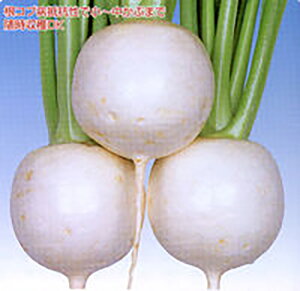 CR 20mll  Ju  Fz yێ   ^lzyʏ5{ 5̂̓|Cg10{ΏۊOi|Cg3{Œ菤iz
