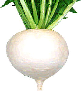 CR () 2dll  Ju  Fz yێ   ^lzyʏ5{ 5̂̓|Cg10{ΏۊOi|Cg3{Œ菤iz