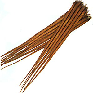  Ց咷 2dll  S{E ڂyێ   ^lzyʏ5{ 5̂̓|Cg10{ΏۊOi|Cg3{Œ菤iz