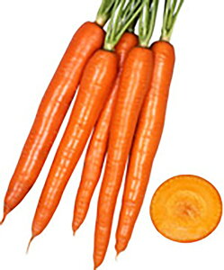 IWn[j[ 10000 jW ɂ񂶂 lQ z@yێ   ^lzyʏ5{ 5̂̓|Cg10{ΏۊOi|Cg3{Œ菤iz