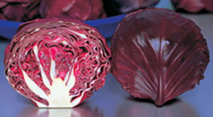 bhECi[ 20mll Lxc Fz yێ   ^lzyʏ5{ 5̂̓|Cg10{ΏۊOi|Cg3{Œ菤iz