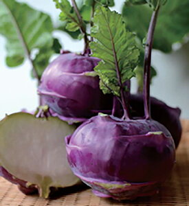 R[r tbh 2000l Lxc z@yێ   ^lzyʏ5{ 5̂̓|Cg10{ΏۊOi|Cg3{Œ菤iz