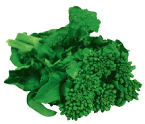 CR�؂̕� 2dl�l �؉� �i�o�i �Ȃ΂� �F����z �y�ێ� �� ���� �^�l�z�y�ʏ�5�{ 5�̂����̓|�C���g10�{�ΏۊO���i�|�C���g3�{�Œ菤�i�z