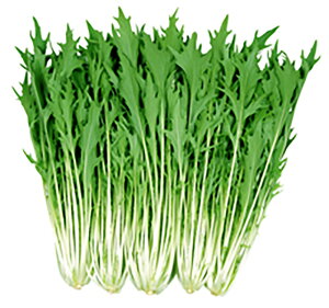 ̂ R[g5000  ~Yi ݂ Fz yێ   ^lzyʏ5{ 5̂̓|Cg10{ΏۊOi|Cg3{Œ菤iz