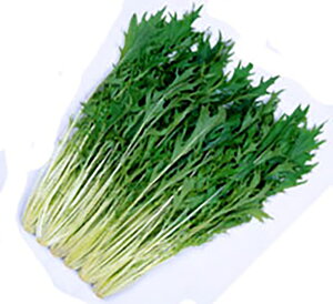  ͂͂605 R[g5000  ~Yi ݂ȁyێ   ^lzyʏ5{ 5̂̓|Cg10{ΏۊOi|Cg3{Œ菤iz