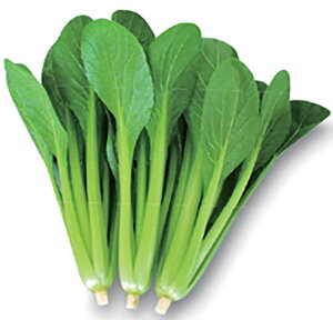 X[p[ 2dll  R}ci ܂ Fz yێ   ^lzyʏ5{ 5̂̓|Cg10{ΏۊOi|Cg3{Œ菤iz