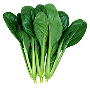 (炭) 2dll  R}ci ܂ Fz yێ   ^lzyʏ5{ 5̂̓|Cg10{ΏۊOi|Cg3{Œ菤iz